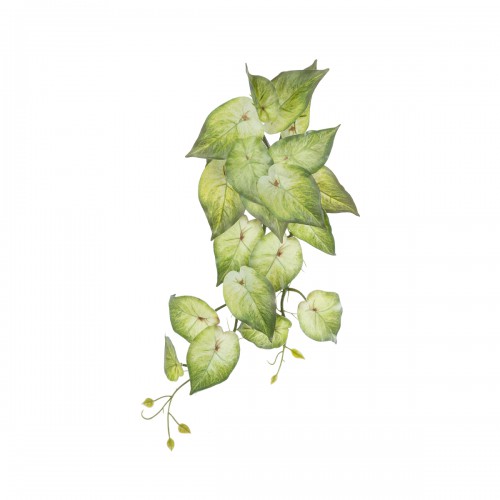 GloboStar® Artificial Garden SYNGONIUM HANGING PLANT 20598 Τεχνητό Διακοσμητικό Κρεμαστό Φυτό Συγκόνιο Υ50cm Διακόσμηση - Φως - Χαλιά GloboStar® Artificial Garden SYNGONIUM HANGING PLANT 20598 Τεχνητό Διακοσμητικό Κρεμαστό Φυτό Συγκόνιο Υ50cm Διακόσμηση - Φως - Χαλιά