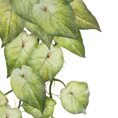 GloboStar® Artificial Garden SYNGONIUM HANGING PLANT 20598 Τεχνητό Διακοσμητικό Κρεμαστό Φυτό Συγκόνιο Υ50cm Διακόσμηση - Φως - Χαλιά GloboStar® Artificial Garden SYNGONIUM HANGING PLANT 20598 Τεχνητό Διακοσμητικό Κρεμαστό Φυτό Συγκόνιο Υ50cm Διακόσμηση - Φως - Χαλιά