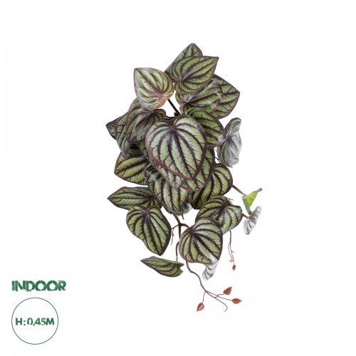 GloboStar® Artificial Garden PEPEROMIA HANGING PLANT 20602 Τεχνητό Διακοσμητικό Κρεμαστό Φυτό Πεπερόμια Υ45cm Διακόσμηση - Φως - Χαλιά GloboStar® Artificial Garden PEPEROMIA HANGING PLANT 20602 Τεχνητό Διακοσμητικό Κρεμαστό Φυτό Πεπερόμια Υ45cm Διακόσμηση - Φως - Χαλιά