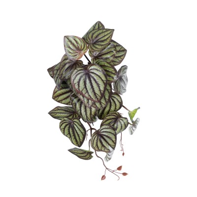 GloboStar® Artificial Garden PEPEROMIA HANGING PLANT 20602 Τεχνητό Διακοσμητικό Κρεμαστό Φυτό Πεπερόμια Υ45cm GloboStar® Artificial Garden PEPEROMIA HANGING PLANT 20602 Τεχνητό Διακοσμητικό Κρεμαστό Φυτό Πεπερόμια Υ45cm