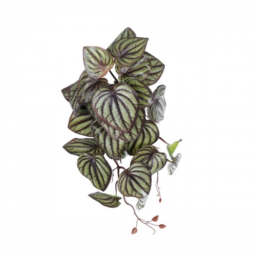 GloboStar® Artificial Garden PEPEROMIA HANGING PLANT 20602 Τεχνητό Διακοσμητικό Κρεμαστό Φυτό Πεπερόμια Υ45cm Διακόσμηση - Φως - Χαλιά GloboStar® Artificial Garden PEPEROMIA HANGING PLANT 20602 Τεχνητό Διακοσμητικό Κρεμαστό Φυτό Πεπερόμια Υ45cm Διακόσμηση - Φως - Χαλιά