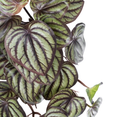 GloboStar® Artificial Garden PEPEROMIA HANGING PLANT 20602 Τεχνητό Διακοσμητικό Κρεμαστό Φυτό Πεπερόμια Υ45cm Διακόσμηση - Φως - Χαλιά GloboStar® Artificial Garden PEPEROMIA HANGING PLANT 20602 Τεχνητό Διακοσμητικό Κρεμαστό Φυτό Πεπερόμια Υ45cm Διακόσμηση - Φως - Χαλιά