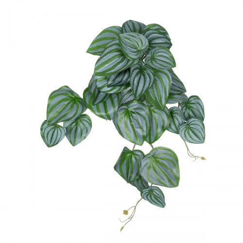 GloboStar® Artificial Garden PEPEROMIA HANGING PLANT 20603 Τεχνητό Διακοσμητικό Κρεμαστό Φυτό Πεπερόμια Υ45cm Διακόσμηση - Φως - Χαλιά GloboStar® Artificial Garden PEPEROMIA HANGING PLANT 20603 Τεχνητό Διακοσμητικό Κρεμαστό Φυτό Πεπερόμια Υ45cm Διακόσμηση - Φως - Χαλιά