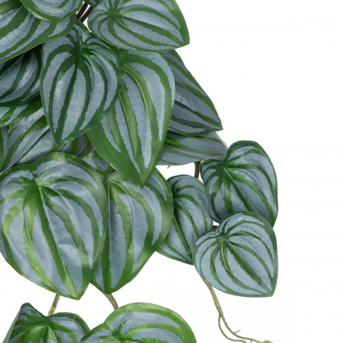 GloboStar® Artificial Garden PEPEROMIA HANGING PLANT 20603 Τεχνητό Διακοσμητικό Κρεμαστό Φυτό Πεπερόμια Υ45cm Διακόσμηση - Φως - Χαλιά GloboStar® Artificial Garden PEPEROMIA HANGING PLANT 20603 Τεχνητό Διακοσμητικό Κρεμαστό Φυτό Πεπερόμια Υ45cm Διακόσμηση - Φως - Χαλιά