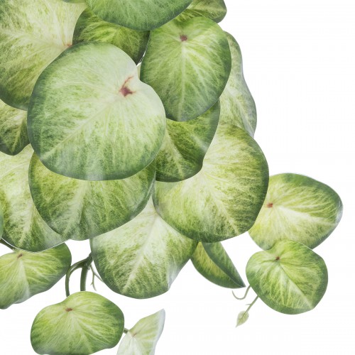 GloboStar® Artificial Garden SYNGONIUM HANGING PLANT 20607 Τεχνητό Διακοσμητικό Κρεμαστό Φυτό Συγκόνιο Υ45cm Διακόσμηση - Φως - Χαλιά GloboStar® Artificial Garden SYNGONIUM HANGING PLANT 20607 Τεχνητό Διακοσμητικό Κρεμαστό Φυτό Συγκόνιο Υ45cm Διακόσμηση - Φως - Χαλιά