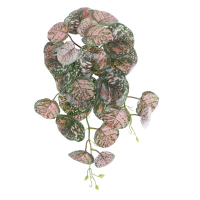 GloboStar® Artificial Garden POLKA HANGING PLANT 20612 Τεχνητό Διακοσμητικό Κρεμαστό Φυτό Πόλκα Υ45cm GloboStar® Artificial Garden POLKA HANGING PLANT 20612 Τεχνητό Διακοσμητικό Κρεμαστό Φυτό Πόλκα Υ45cm