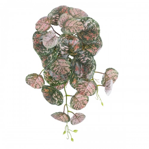 GloboStar® Artificial Garden POLKA HANGING PLANT 20612 Τεχνητό Διακοσμητικό Κρεμαστό Φυτό Πόλκα Υ45cm Διακόσμηση - Φως - Χαλιά GloboStar® Artificial Garden POLKA HANGING PLANT 20612 Τεχνητό Διακοσμητικό Κρεμαστό Φυτό Πόλκα Υ45cm Διακόσμηση - Φως - Χαλιά