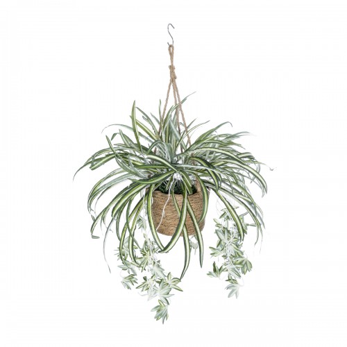 GloboStar® Artificial Garden CHLOROPHYTUM COMOSUM HANGING PLANT 20638 Τεχνητό Κρεμαστό Διακοσμητικό Χλωρόφυτο Y50cm Διακόσμηση - Φως - Χαλιά GloboStar® Artificial Garden CHLOROPHYTUM COMOSUM HANGING PLANT 20638 Τεχνητό Κρεμαστό Διακοσμητικό Χλωρόφυτο Y50cm Διακόσμηση - Φως - Χαλιά