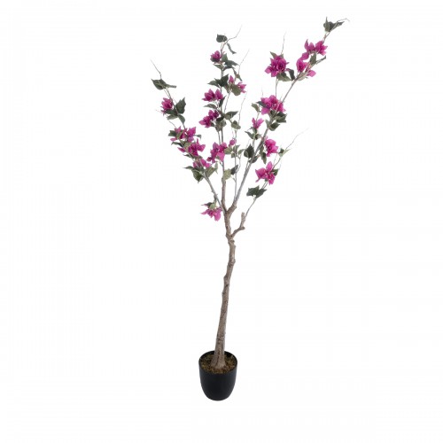 GloboStar® Artificial Garden BOUGAUVILLEA 20675 Τεχνητό Διακοσμητικό Φυτό με Ανθη Μπουκανβίλιας Φουξ Υ150cm Διακόσμηση - Φως - Χαλιά GloboStar® Artificial Garden BOUGAUVILLEA 20675 Τεχνητό Διακοσμητικό Φυτό με Ανθη Μπουκανβίλιας Φουξ Υ150cm Διακόσμηση - Φως - Χαλιά