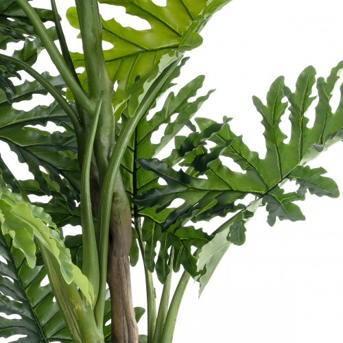 GloboStar® Artificial Garden PHILODENDRON 20684 Τεχνητό Διακοσμητικό Φυτό Φυλλόδενδρο Υ150cm Διακόσμηση - Φως - Χαλιά GloboStar® Artificial Garden PHILODENDRON 20684 Τεχνητό Διακοσμητικό Φυτό Φυλλόδενδρο Υ150cm Διακόσμηση - Φως - Χαλιά