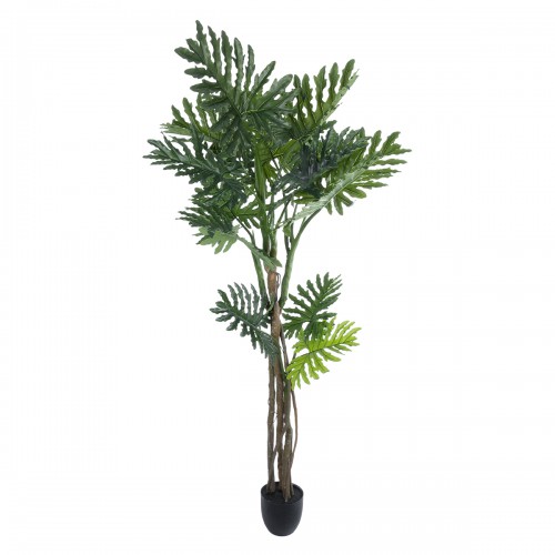 GloboStar® Artificial Garden PHILODENDRON 20685 Τεχνητό Διακοσμητικό Φυτό Φυλλόδενδρο Υ180cm Διακόσμηση - Φως - Χαλιά GloboStar® Artificial Garden PHILODENDRON 20685 Τεχνητό Διακοσμητικό Φυτό Φυλλόδενδρο Υ180cm Διακόσμηση - Φως - Χαλιά