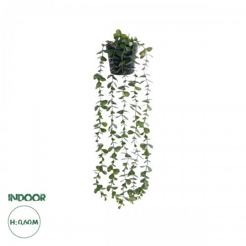 GloboStar® Artificial Garden HANGING EUCALYPTUS LEAF 20884 - Τεχνητό Κρεμαστό Διακοσμητικό Φυτό Φύλλα Ευκάλυπτου Φ17 x Y60cm GloboStar® Artificial Garden HANGING EUCALYPTUS LEAF 20884 - Τεχνητό Κρεμαστό Διακοσμητικό Φυτό Φύλλα Ευκάλυπτου Φ17 x Y60cm
