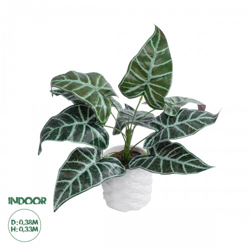 GloboStar® Artificial Garden ALOCASIA 20886 Τεχνητό Διακοσμητικό Φυτό Αλοκασία Φ38 x Υ33cm Διακόσμηση - Φως - Χαλιά GloboStar® Artificial Garden ALOCASIA 20886 Τεχνητό Διακοσμητικό Φυτό Αλοκασία Φ38 x Υ33cm Διακόσμηση - Φως - Χαλιά