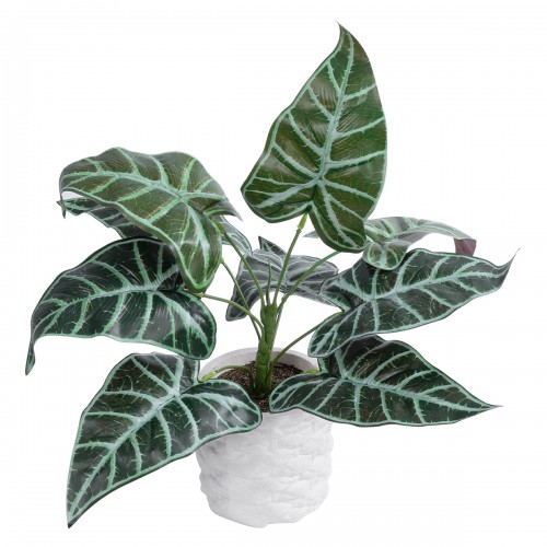 GloboStar® Artificial Garden ALOCASIA 20886 Τεχνητό Διακοσμητικό Φυτό Αλοκασία Φ38 x Υ33cm Διακόσμηση - Φως - Χαλιά GloboStar® Artificial Garden ALOCASIA 20886 Τεχνητό Διακοσμητικό Φυτό Αλοκασία Φ38 x Υ33cm Διακόσμηση - Φως - Χαλιά