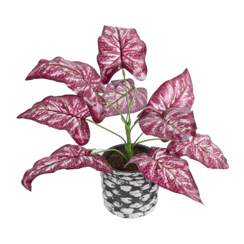 GloboStar® Artificial Garden RED POLKA 20887 Τεχνητό Διακοσμητικό Φυτό Κόκκινη Πόλκα Φ38 x Υ33cm Διακόσμηση - Φως - Χαλιά GloboStar® Artificial Garden RED POLKA 20887 Τεχνητό Διακοσμητικό Φυτό Κόκκινη Πόλκα Φ38 x Υ33cm Διακόσμηση - Φως - Χαλιά