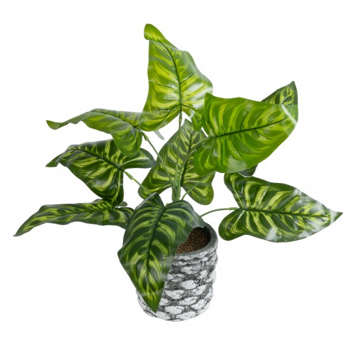 GloboStar® Artificial Garden PEACOCK 20888 Τεχνητό Διακοσμητικό Φυτό Παγώνι Φ38 x Υ33cm Διακόσμηση - Φως - Χαλιά GloboStar® Artificial Garden PEACOCK 20888 Τεχνητό Διακοσμητικό Φυτό Παγώνι Φ38 x Υ33cm Διακόσμηση - Φως - Χαλιά