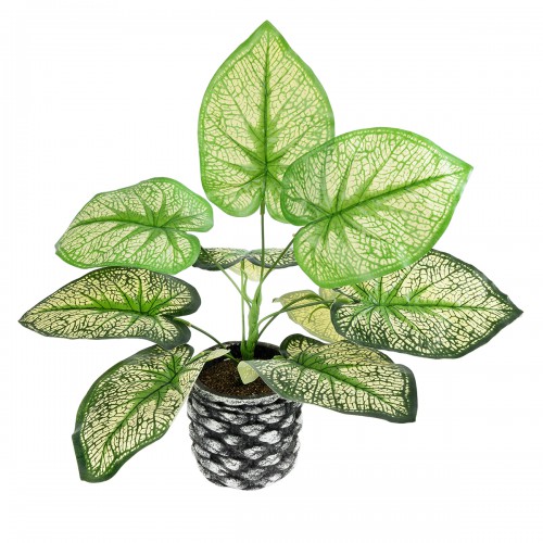 GloboStar® Artificial Garden CALADIUM 20889 Τεχνητό Διακοσμητικό Φυτό Τροπικό Φυτό Φ40 x Υ33cm Διακόσμηση - Φως - Χαλιά GloboStar® Artificial Garden CALADIUM 20889 Τεχνητό Διακοσμητικό Φυτό Τροπικό Φυτό Φ40 x Υ33cm Διακόσμηση - Φως - Χαλιά