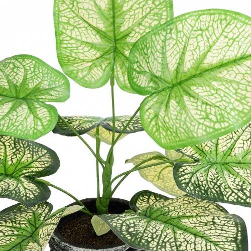GloboStar® Artificial Garden CALADIUM 20889 Τεχνητό Διακοσμητικό Φυτό Τροπικό Φυτό Φ40 x Υ33cm Διακόσμηση - Φως - Χαλιά GloboStar® Artificial Garden CALADIUM 20889 Τεχνητό Διακοσμητικό Φυτό Τροπικό Φυτό Φ40 x Υ33cm Διακόσμηση - Φως - Χαλιά
