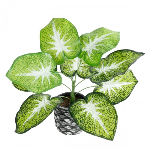 GloboStar® Artificial Garden CALADIUM 20890 Τεχνητό Διακοσμητικό Φυτό Τροπικό Φυτό  Φ40 x Υ33cm Διακόσμηση - Φως - Χαλιά