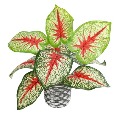 GloboStar® Artificial Garden CALADIUM 20891 Τεχνητό Διακοσμητικό Φυτό Τροπικό Φυτό Καλάδιο Φ40 x Υ33cm GloboStar® Artificial Garden CALADIUM 20891 Τεχνητό Διακοσμητικό Φυτό Τροπικό Φυτό Καλάδιο Φ40 x Υ33cm