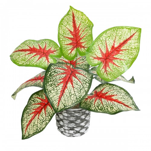 GloboStar® Artificial Garden CALADIUM 20891 Τεχνητό Διακοσμητικό Φυτό Τροπικό Φυτό Φ40 x Υ33cm Διακόσμηση - Φως - Χαλιά GloboStar® Artificial Garden CALADIUM 20891 Τεχνητό Διακοσμητικό Φυτό Τροπικό Φυτό Φ40 x Υ33cm Διακόσμηση - Φως - Χαλιά