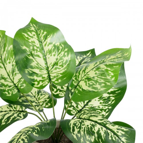 GloboStar® Artificial Garden DIEFFENBACHIA POTTED PLANT 20897 Διακοσμητικό Φυτό Διεφενμπάχια Φ40 x Υ33cm Διακόσμηση - Φως - Χαλιά GloboStar® Artificial Garden DIEFFENBACHIA POTTED PLANT 20897 Διακοσμητικό Φυτό Διεφενμπάχια Φ40 x Υ33cm Διακόσμηση - Φως - Χαλιά