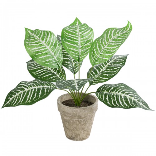 GloboStar® Artificial Garden ZEBRA POTTED PLANT 20898 Διακοσμητικό Φυτό Ζέμπρα Φ40 x Υ33cm Διακόσμηση - Φως - Χαλιά GloboStar® Artificial Garden ZEBRA POTTED PLANT 20898 Διακοσμητικό Φυτό Ζέμπρα Φ40 x Υ33cm Διακόσμηση - Φως - Χαλιά