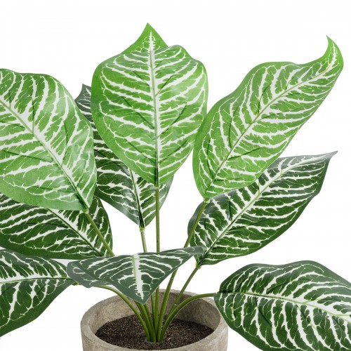 GloboStar® Artificial Garden ZEBRA POTTED PLANT 20898 Διακοσμητικό Φυτό Ζέμπρα Φ40 x Υ33cm Διακόσμηση - Φως - Χαλιά GloboStar® Artificial Garden ZEBRA POTTED PLANT 20898 Διακοσμητικό Φυτό Ζέμπρα Φ40 x Υ33cm Διακόσμηση - Φως - Χαλιά