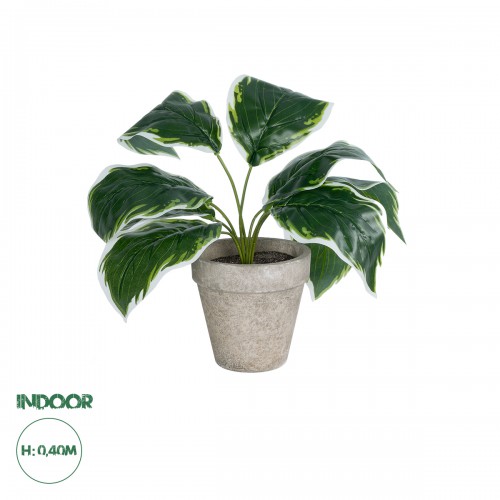 GloboStar® Artificial Garden WHITE HOSTA PLANT 20900 Διακοσμητικό Φυτό Λευκή Χόστα Φ45 x Υ40cm GloboStar® Artificial Garden WHITE HOSTA PLANT 20900 Διακοσμητικό Φυτό Λευκή Χόστα Φ45 x Υ40cm