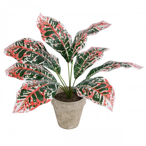 GloboStar® Artificial Garden RED AGLAONEMA POTTED PLANT 20901 Διακοσμητικό Φυτό Κόκκινο Αγλαόνημα Φ40 x Υ33cm GloboStar® Artificial Garden RED AGLAONEMA POTTED PLANT 20901 Διακοσμητικό Φυτό Κόκκινο Αγλαόνημα Φ40 x Υ33cm