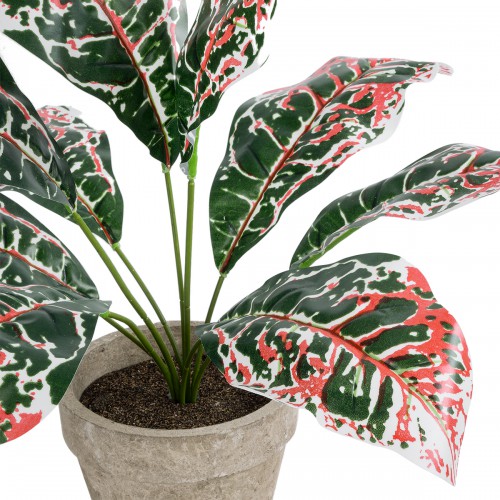 GloboStar® Artificial Garden RED AGLAONEMA POTTED PLANT 20901 Διακοσμητικό Φυτό Κόκκινο Αγλαόνημα Φ40 x Υ33cm GloboStar® Artificial Garden RED AGLAONEMA POTTED PLANT 20901 Διακοσμητικό Φυτό Κόκκινο Αγλαόνημα Φ40 x Υ33cm