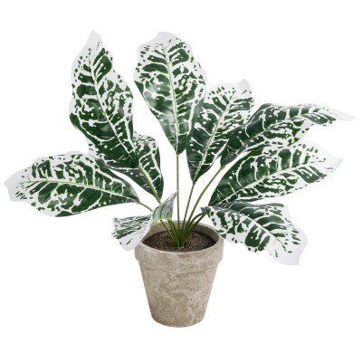 GloboStar® Artificial Garden WHITE AGLAONEMA POTTED PLANT 20903 Διακοσμητικό Φυτό Λευκό Αγλαόνημα Φ40 x Υ33cm GloboStar® Artificial Garden WHITE AGLAONEMA POTTED PLANT 20903 Διακοσμητικό Φυτό Λευκό Αγλαόνημα Φ40 x Υ33cm