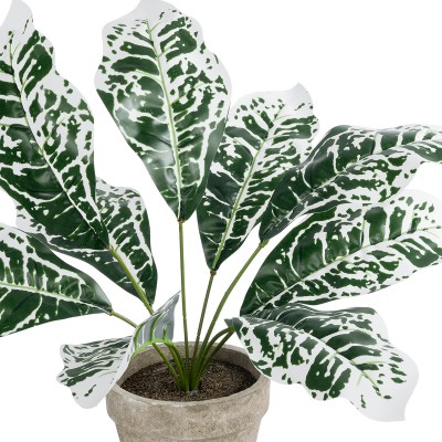 GloboStar® Artificial Garden WHITE AGLAONEMA POTTED PLANT 20903 Διακοσμητικό Φυτό Λευκό Αγλαόνημα Φ40 x Υ33cm Διακόσμηση - Φως - Χαλιά GloboStar® Artificial Garden WHITE AGLAONEMA POTTED PLANT 20903 Διακοσμητικό Φυτό Λευκό Αγλαόνημα Φ40 x Υ33cm Διακόσμηση - Φως - Χαλιά