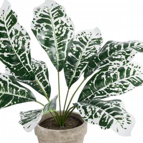 GloboStar® Artificial Garden WHITE AGLAONEMA POTTED PLANT 20903 Διακοσμητικό Φυτό Λευκό Αγλαόνημα Φ40 x Υ33cm Διακόσμηση - Φως - Χαλιά GloboStar® Artificial Garden WHITE AGLAONEMA POTTED PLANT 20903 Διακοσμητικό Φυτό Λευκό Αγλαόνημα Φ40 x Υ33cm Διακόσμηση - Φως - Χαλιά