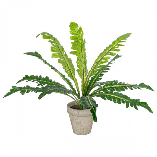 GloboStar® Artificial Garden ASPLENIUM POTTED PLANT 20904 Διακοσμητικό Φυτό Aslenium Φ40 x Υ33cm Διακόσμηση - Φως - Χαλιά GloboStar® Artificial Garden ASPLENIUM POTTED PLANT 20904 Διακοσμητικό Φυτό Aslenium Φ40 x Υ33cm Διακόσμηση - Φως - Χαλιά