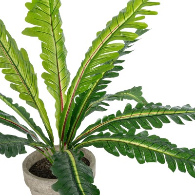 GloboStar® Artificial Garden ASPLENIUM POTTED PLANT 20904 Διακοσμητικό Φυτό Aslenium Φ40 x Υ33cm Διακόσμηση - Φως - Χαλιά GloboStar® Artificial Garden ASPLENIUM POTTED PLANT 20904 Διακοσμητικό Φυτό Aslenium Φ40 x Υ33cm Διακόσμηση - Φως - Χαλιά