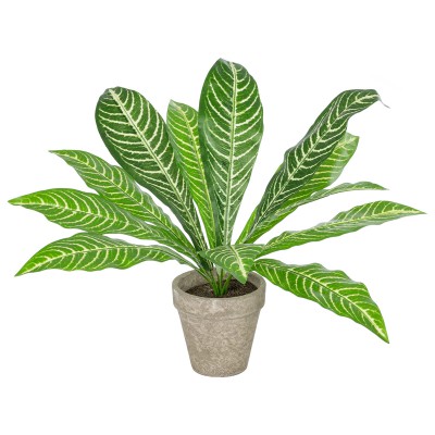 GloboStar® Artificial Garden ZEBRA POTTED PLANT 20906 Διακοσμητικό Φυτό Ζέμπρα Φ40 x Υ33cm GloboStar® Artificial Garden ZEBRA POTTED PLANT 20906 Διακοσμητικό Φυτό Ζέμπρα Φ40 x Υ33cm