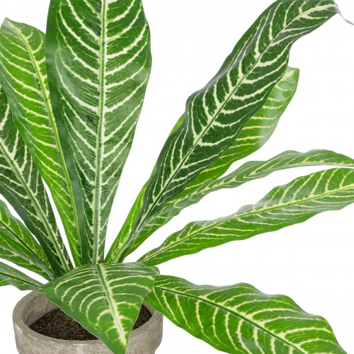 GloboStar® Artificial Garden ZEBRA POTTED PLANT 20906 Διακοσμητικό Φυτό Ζέμπρα Φ40 x Υ33cm Διακόσμηση - Φως - Χαλιά GloboStar® Artificial Garden ZEBRA POTTED PLANT 20906 Διακοσμητικό Φυτό Ζέμπρα Φ40 x Υ33cm Διακόσμηση - Φως - Χαλιά