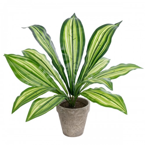 GloboStar® Artificial Garden DRACAENA POTTED PLANT 20907 Διακοσμητικό Φυτό Δράκενα Φ40 x Υ33cm Διακόσμηση - Φως - Χαλιά GloboStar® Artificial Garden DRACAENA POTTED PLANT 20907 Διακοσμητικό Φυτό Δράκενα Φ40 x Υ33cm Διακόσμηση - Φως - Χαλιά