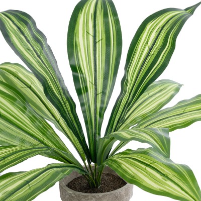 GloboStar® Artificial Garden DRACAENA POTTED PLANT 20907 Διακοσμητικό Φυτό Δράκενα Φ40 x Υ33cm Διακόσμηση - Φως - Χαλιά GloboStar® Artificial Garden DRACAENA POTTED PLANT 20907 Διακοσμητικό Φυτό Δράκενα Φ40 x Υ33cm Διακόσμηση - Φως - Χαλιά