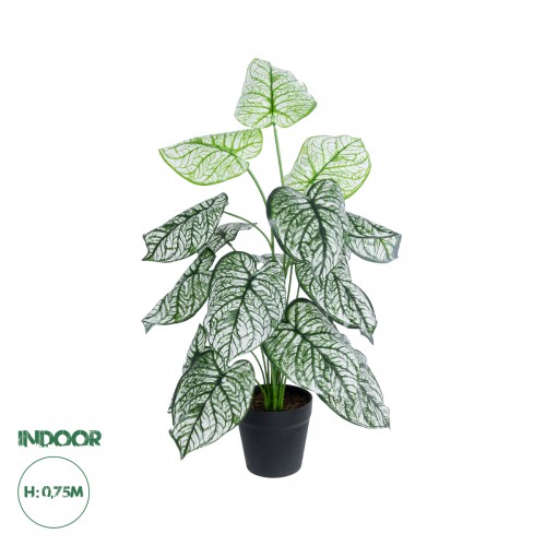 GloboStar® Artificial Garden CALADIUM 20908 Διακοσμητικό Φυτό Καλάδια Υ75cm GloboStar® Artificial Garden CALADIUM 20908 Διακοσμητικό Φυτό Καλάδια Υ75cm