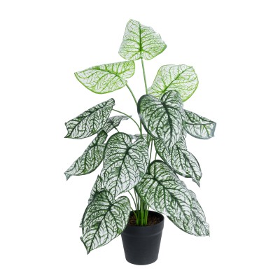 GloboStar® Artificial Garden CALADIUM 20908 Διακοσμητικό Φυτό Καλάδια Υ75cm GloboStar® Artificial Garden CALADIUM 20908 Διακοσμητικό Φυτό Καλάδια Υ75cm