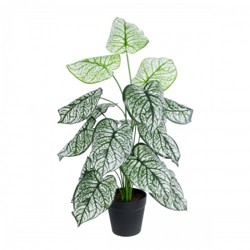 GloboStar® Artificial Garden CALADIUM 20908 Διακοσμητικό Φυτό Καλάδια Υ75cm GloboStar® Artificial Garden CALADIUM 20908 Διακοσμητικό Φυτό Καλάδια Υ75cm