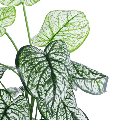 GloboStar® Artificial Garden CALADIUM 20908 Διακοσμητικό Φυτό Καλάδια Υ75cm GloboStar® Artificial Garden CALADIUM 20908 Διακοσμητικό Φυτό Καλάδια Υ75cm
