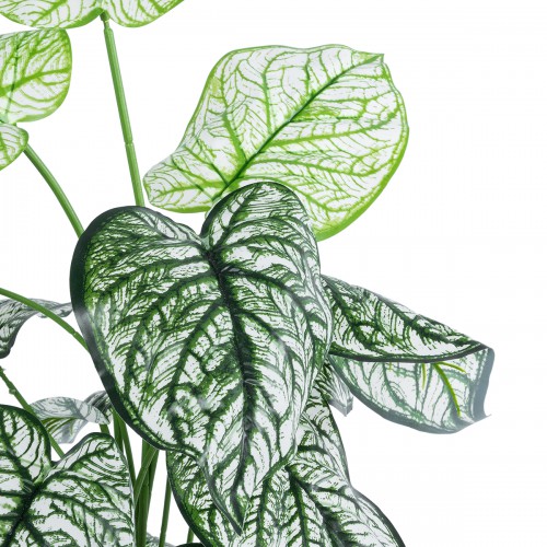 GloboStar® Artificial Garden CALADIUM 20908 Διακοσμητικό Φυτό Καλάδια Υ75cm GloboStar® Artificial Garden CALADIUM 20908 Διακοσμητικό Φυτό Καλάδια Υ75cm
