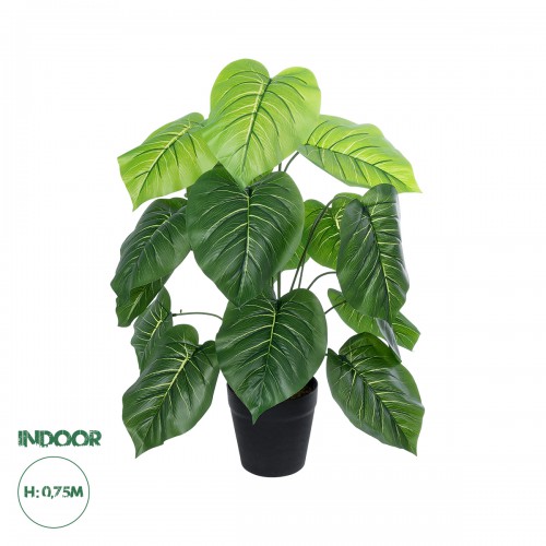 GloboStar® Artificial Garden PHILODENDRON 20910 Διακοσμητικό Φυτό Φυλλόδεντρο Υ75cm Διακόσμηση - Φως - Χαλιά GloboStar® Artificial Garden PHILODENDRON 20910 Διακοσμητικό Φυτό Φυλλόδεντρο Υ75cm Διακόσμηση - Φως - Χαλιά