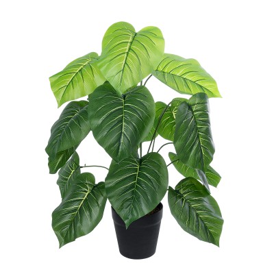 GloboStar® Artificial Garden CALATHEA PLANT 20910 Διακοσμητικό Φυτό Καλαθέα Φ70 x Υ75cm GloboStar® Artificial Garden CALATHEA PLANT 20910 Διακοσμητικό Φυτό Καλαθέα Φ70 x Υ75cm