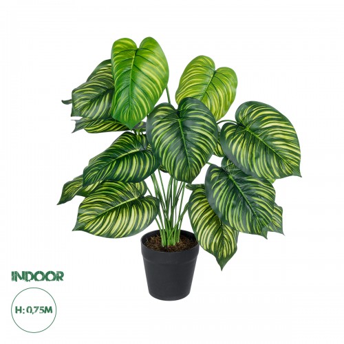 GloboStar® Artificial Garden CALATHEA 20912 Διακοσμητικό Φυτό Καλαθέα Υ75cm Διακόσμηση - Φως - Χαλιά GloboStar® Artificial Garden CALATHEA 20912 Διακοσμητικό Φυτό Καλαθέα Υ75cm Διακόσμηση - Φως - Χαλιά