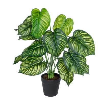 GloboStar® Artificial Garden CALATHEA PLANT 20912 Διακοσμητικό Φυτό Καλαθέα Φ55 x Υ75cm GloboStar® Artificial Garden CALATHEA PLANT 20912 Διακοσμητικό Φυτό Καλαθέα Φ55 x Υ75cm