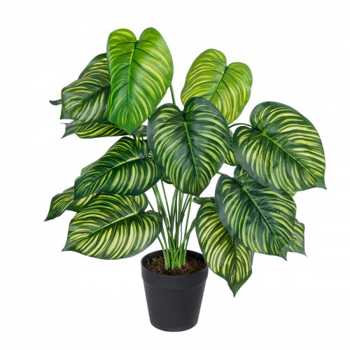 GloboStar® Artificial Garden CALATHEA 20912 Διακοσμητικό Φυτό Καλαθέα Υ75cm Διακόσμηση - Φως - Χαλιά GloboStar® Artificial Garden CALATHEA 20912 Διακοσμητικό Φυτό Καλαθέα Υ75cm Διακόσμηση - Φως - Χαλιά